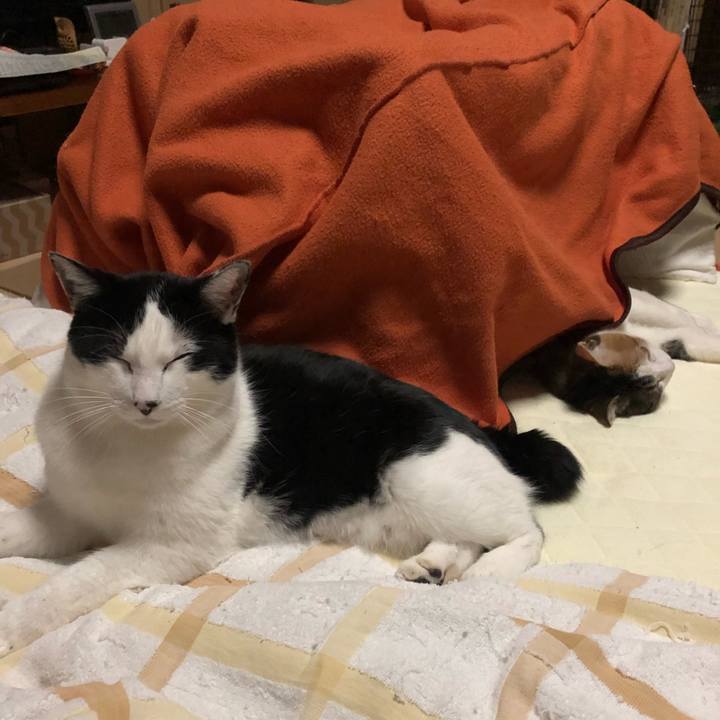 260b3066 022b 4360 a207 1e7932c8586b 1581440203551