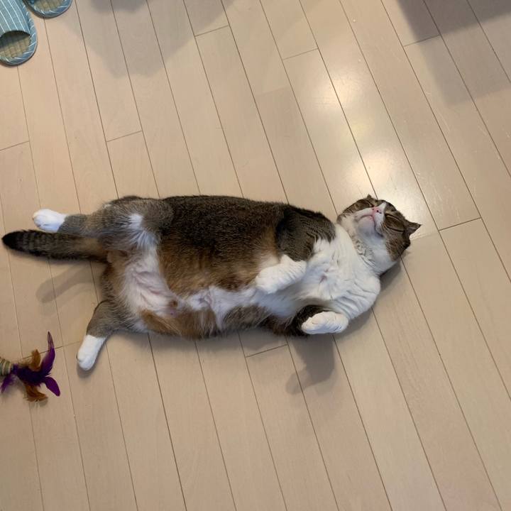 260b3dbd 2cda 4dc3 89ea 59514d828fd0 1562540613650