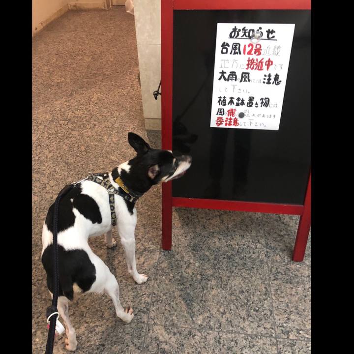 260b7661 6f1a 4587 940c 55fb1043f26e 1532785893141