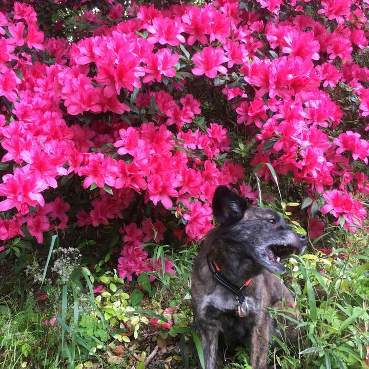 260b7973 af4b 4228 9227 df7fef395392 1527473394654