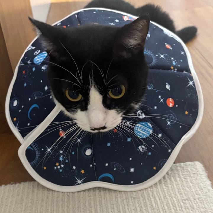 260bbf0a e723 4558 9ca8 30cd5eb6b302 1764470696709