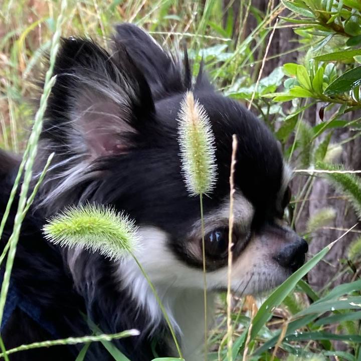 260c1bff d198 46ea a4f0 49eb85abc019 1663924038784