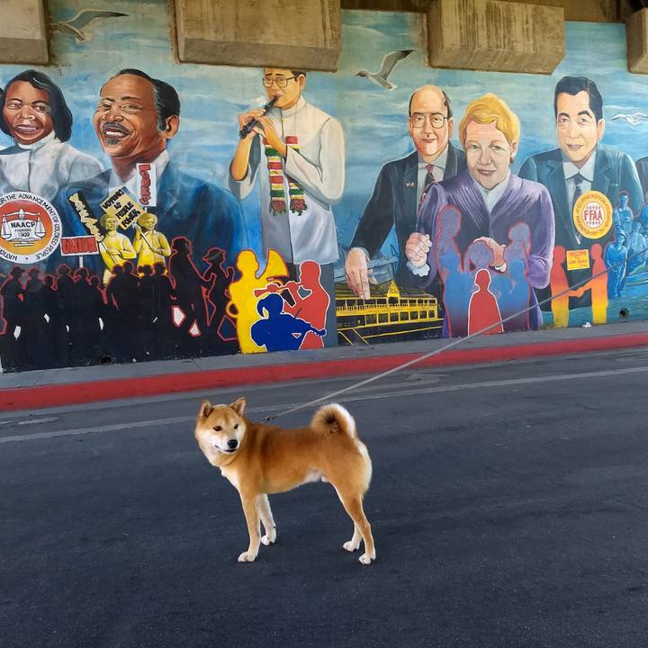 260c4a37 80c8 4fc3 ab19 374e5921efb4 1511544030391