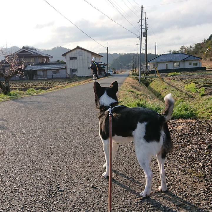 260c9dad 4d53 4de7 99d4 7c48e609daa7 1615382298168