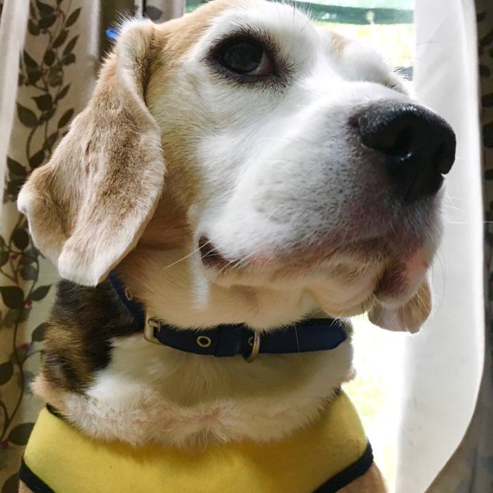 260ceaad 49cf 42bc 82a4 580e2470926a 1571888201514