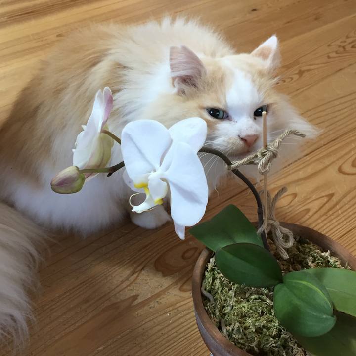 260d00db 6fd6 45da 8cf1 6bccf0671f1e 1619732263311