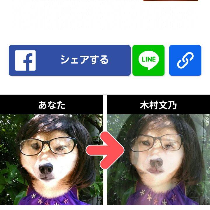 260d3de3 9bdf 46aa b932 57513c416a1d 1528471240788