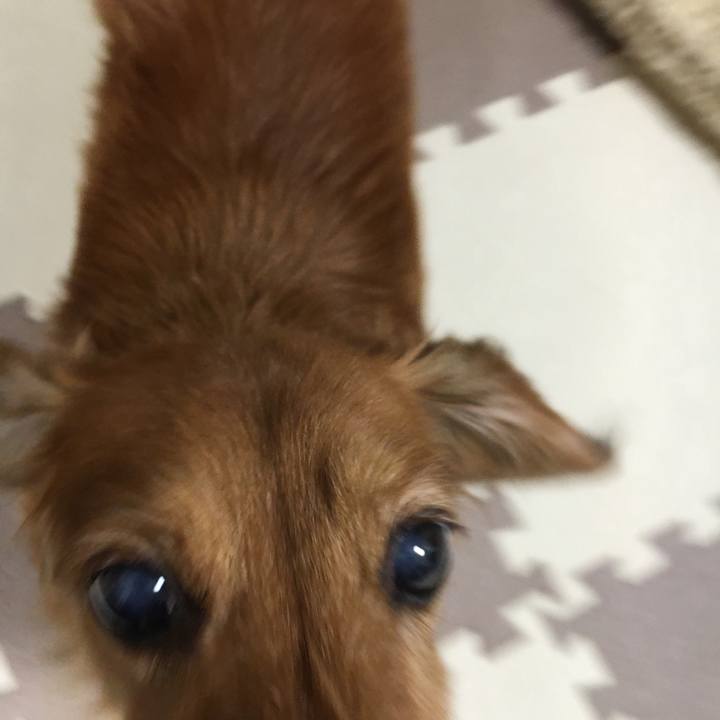 260d84cc 4525 43eb aa5e c11b1100adbf 1575986609884