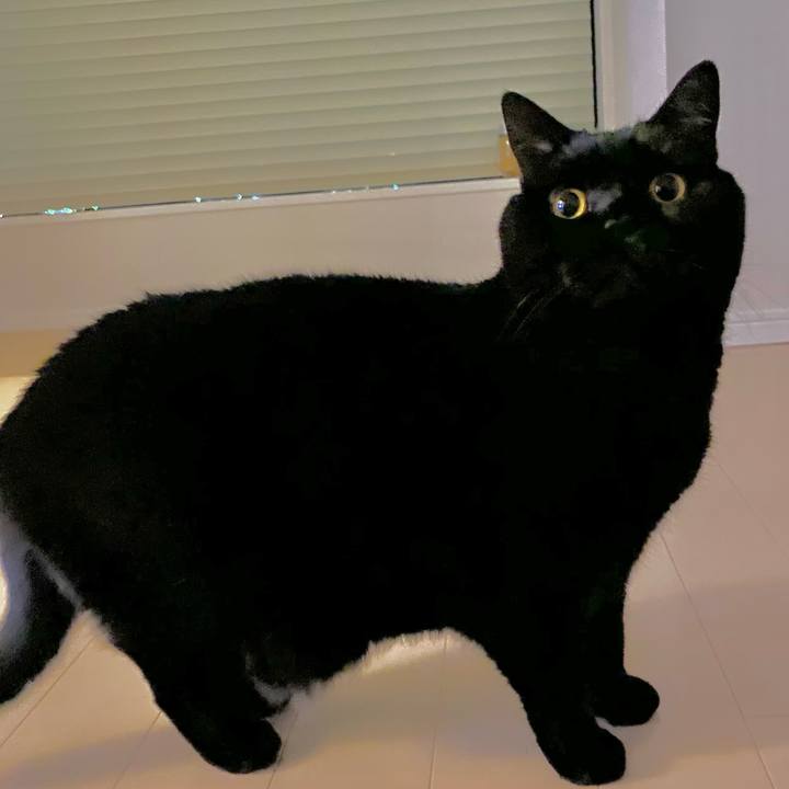 260d922e cc68 4e03 97d5 ecf122a02a78 1670757831250