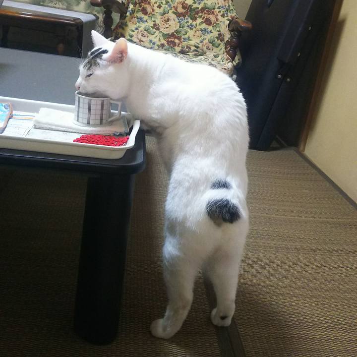 260db44d 36c5 4e31 a050 97a9ab50afb0 1572790109719