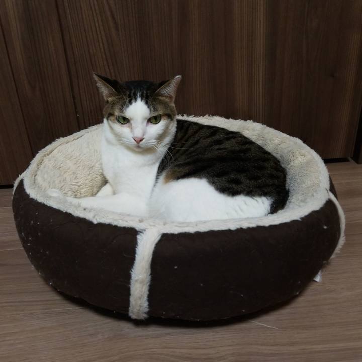 260dc4fd 52ef 4e2a 9e8a 2611f4bca105 1570656041772