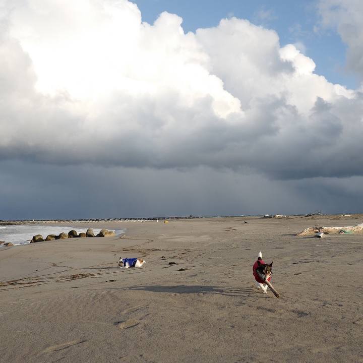 260dcd22 c949 4cd7 90bb 79f71a553bed 1546747292969