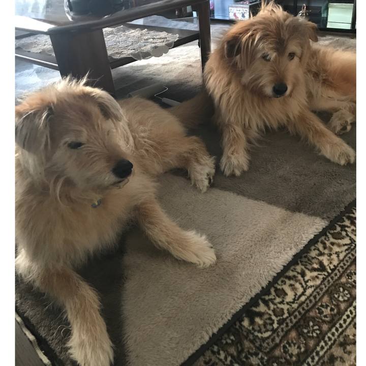 260ddda0 bc03 40d0 8abb 70abfddbc163 1553503300313