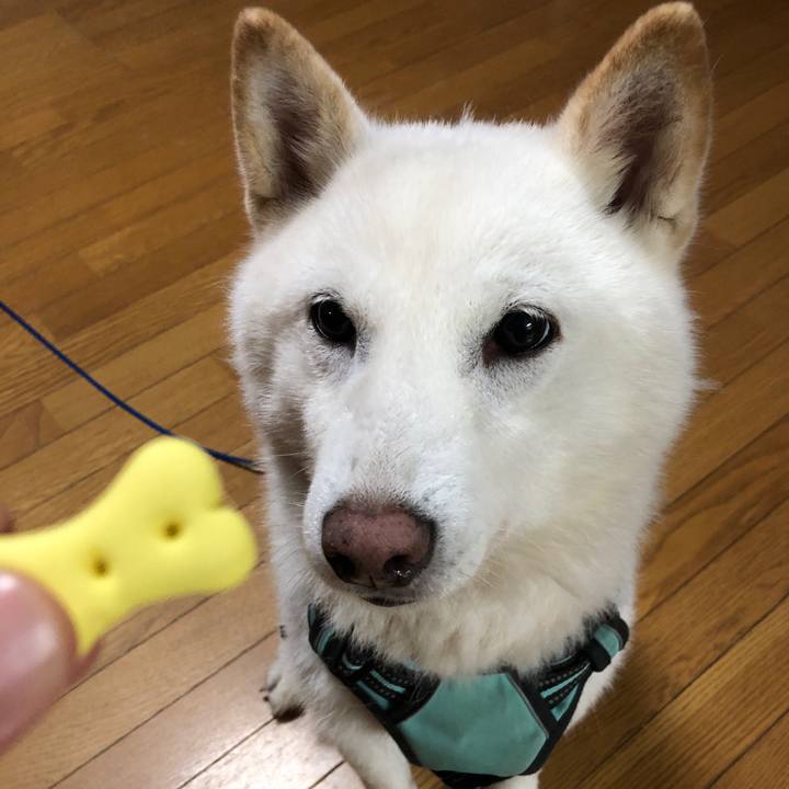 260dddda 56be 46c6 81db 2fd3a99c6902 1688629211334