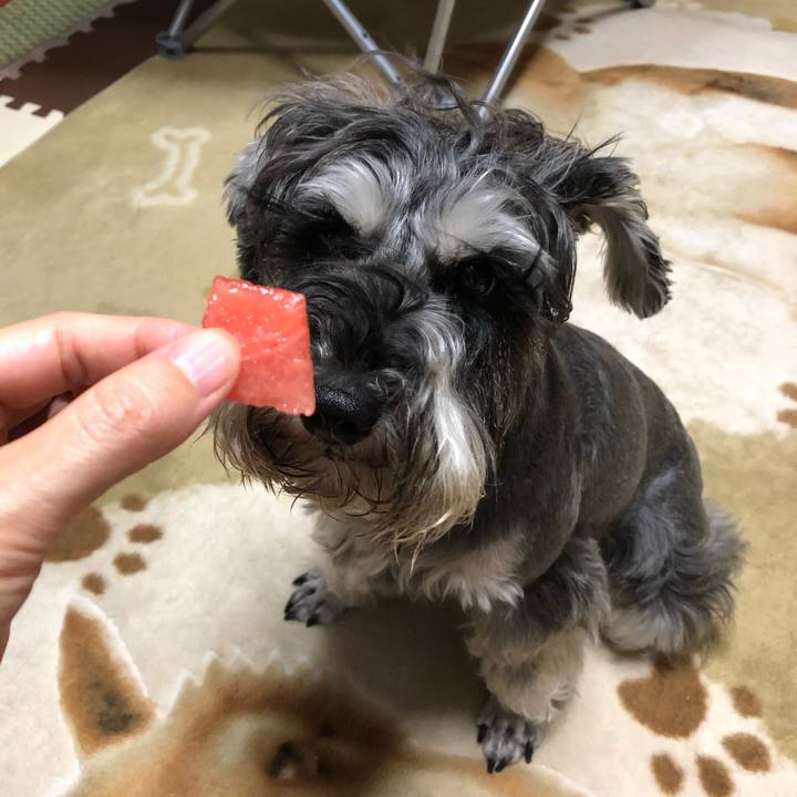 260deb1b 3688 48a3 a09d 3d75e90a5cad 1561126661880