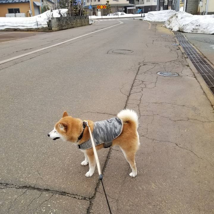 260dfea8 bb1b 46aa aa55 618868dd49c4 1647679676420