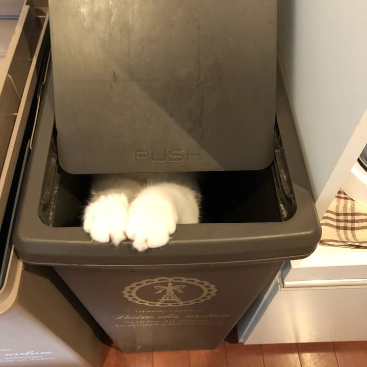 260e15d0 0078 4877 8c9a ba39c27e143e 1534080492804