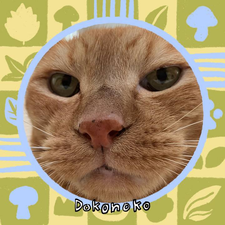 260e401b 737b 43dc ace3 fe0895c346a2 1761098750469