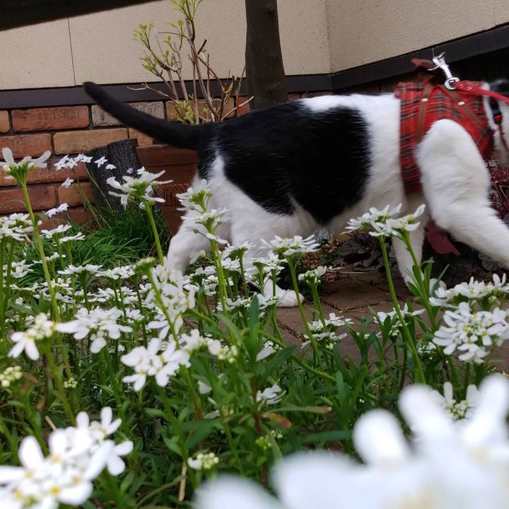 260e52de 639b 4e13 85c7 31d08c1f7321 1588144523376