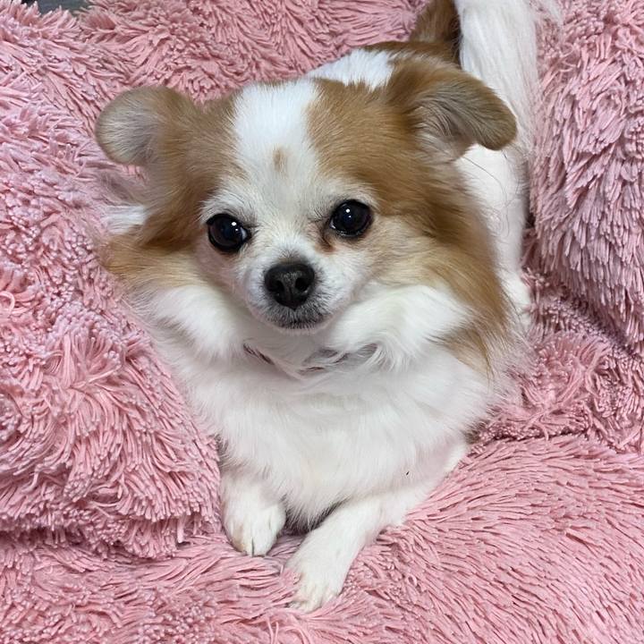 260e7199 43f4 4fe3 b5fd 09dfcb5d9304 1579090615891