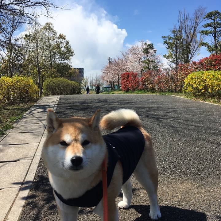 260e7401 c89c 412c 8e6f 452113e1257b 1554088215218