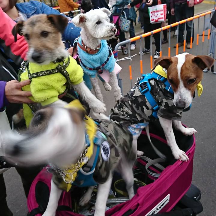 260e8e9d 685a 4eb2 b9fc 980c10e23fd4 1553934552471