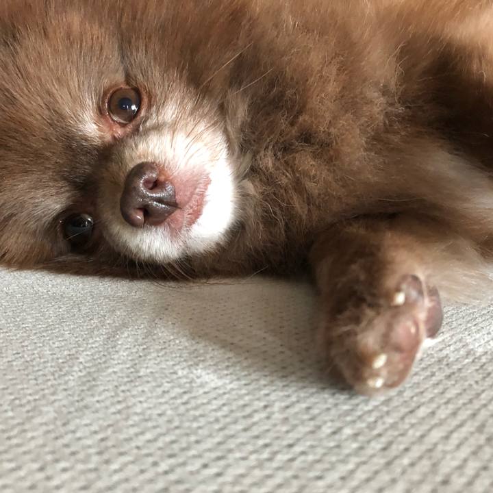 260eb536 2221 4750 bfc9 033116931795 1543276890866