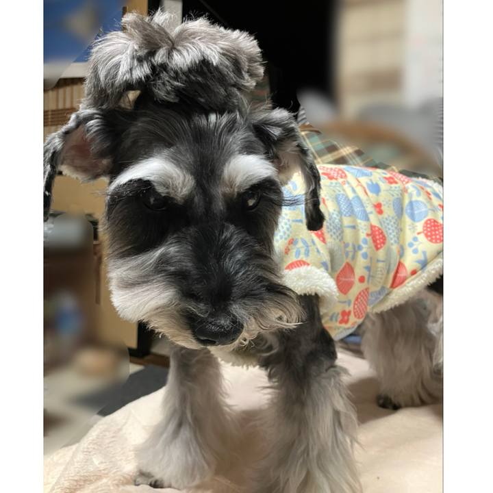 260ebd68 979f 4d61 a97d 8d95010c5bc8 1742133594472