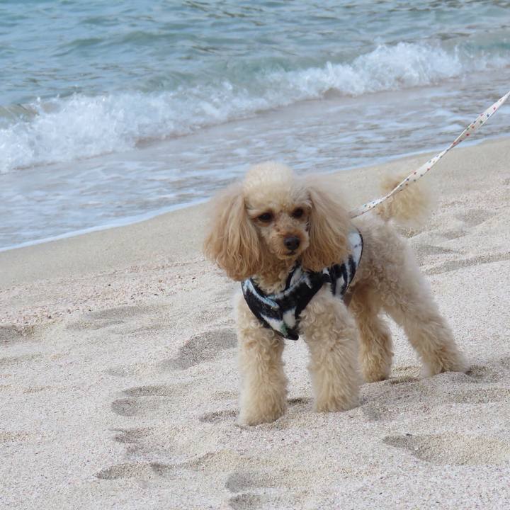 260edb19 76c6 4040 bd6a a3415d1fe5b2 1578008306556