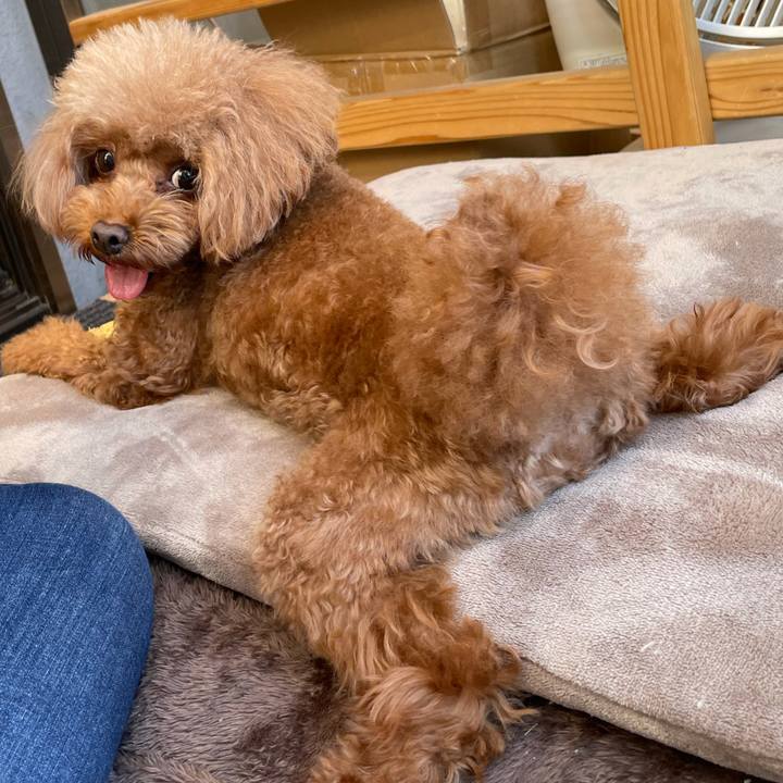 260eee06 cd3f 4818 af58 1e9e055f9e39 1635569363113