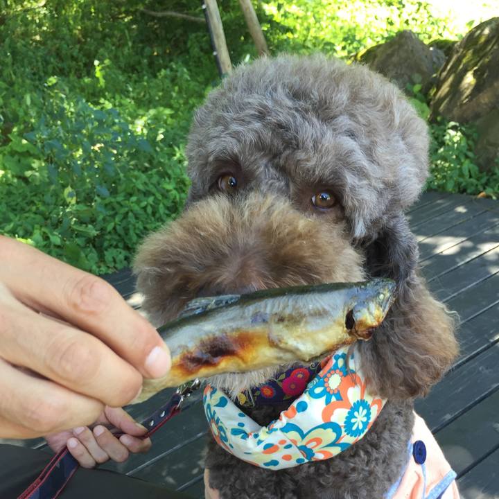 260ef718 f5f5 45f8 bbc1 c3d2b4832c8f 1533454644464