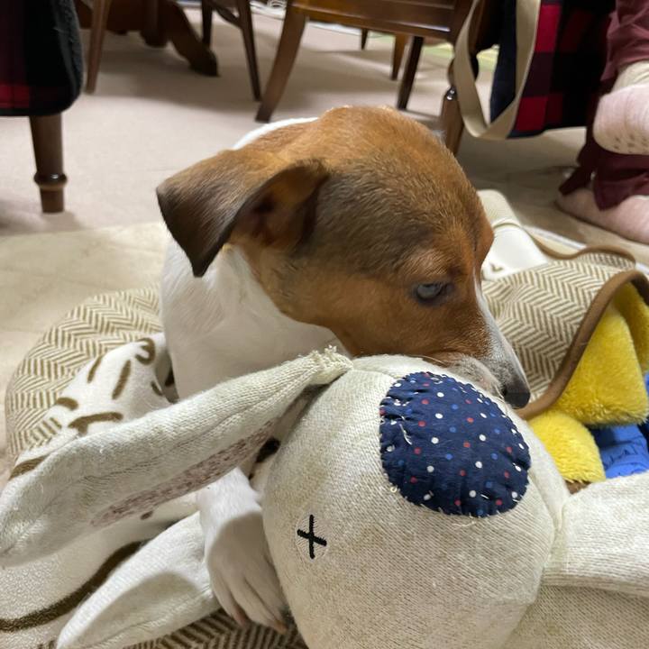 260efeac 6af3 4d95 b647 5170f35f1979 1704027270395