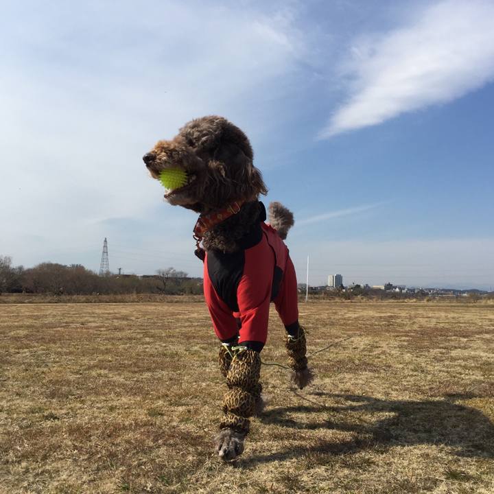 260f2f89 589c 4c4e 99a5 c673b11321fd 1518684721130