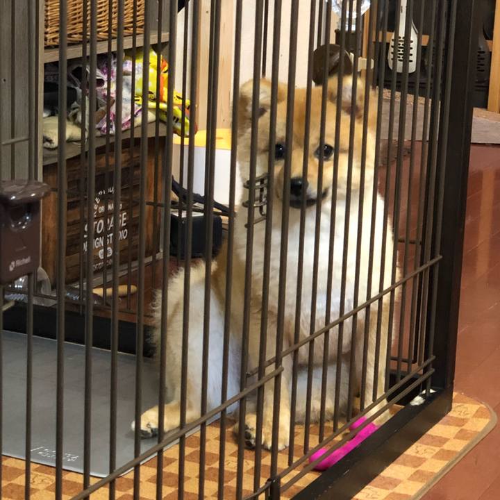 260f4673 fe2b 490c 9193 7c413f1de948 1594783522508