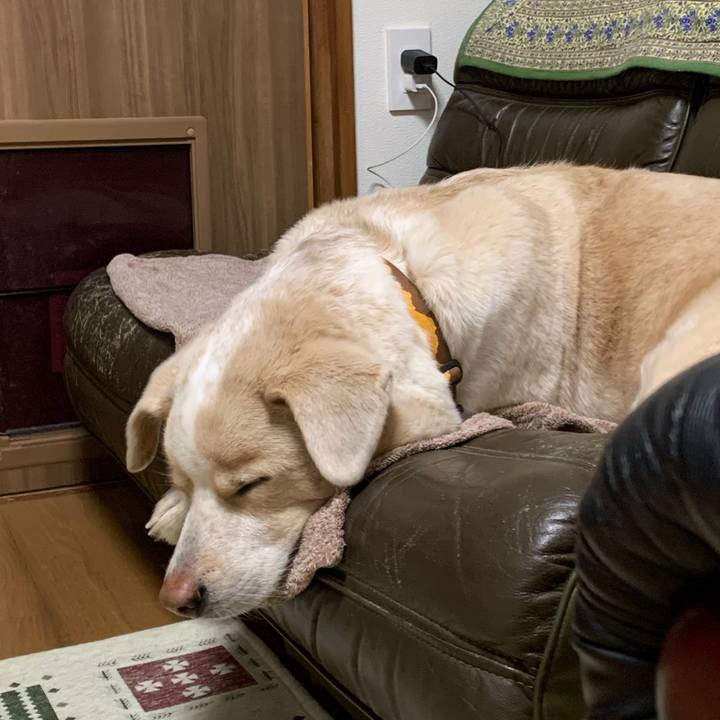 260fb0c5 56a9 4d80 8243 11b681cd334a 1577867730934