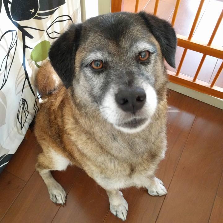 260fc247 91a2 4803 bf20 2e4d3fec8bd1 1696729258721