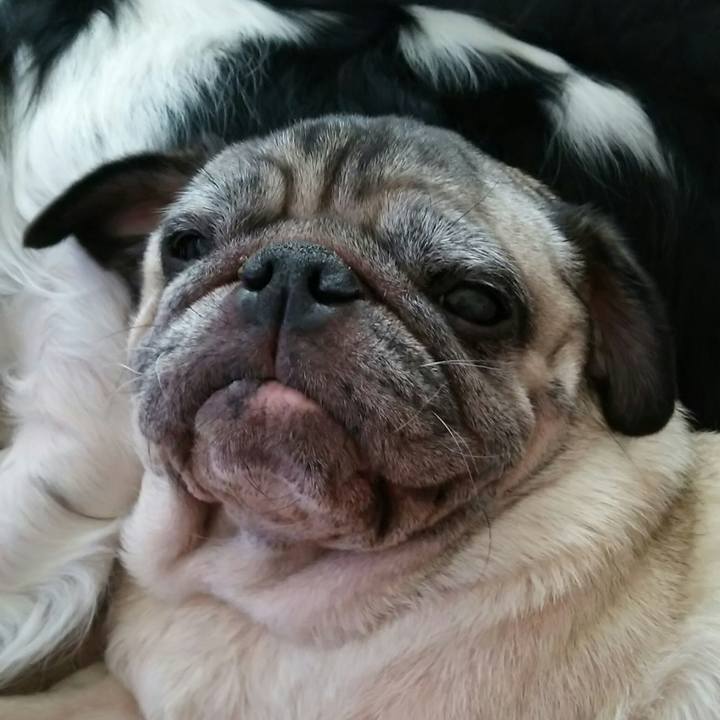 260ff129 0f50 42ec 8541 78ca37ba96e1 1540297635986