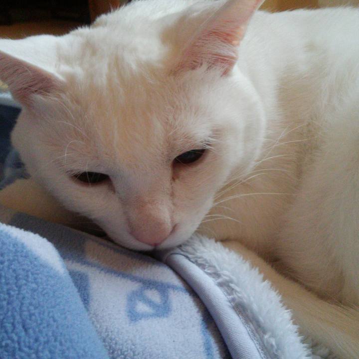 260fffbc 4f0c 4160 acbd c7148674816f 1525591495876