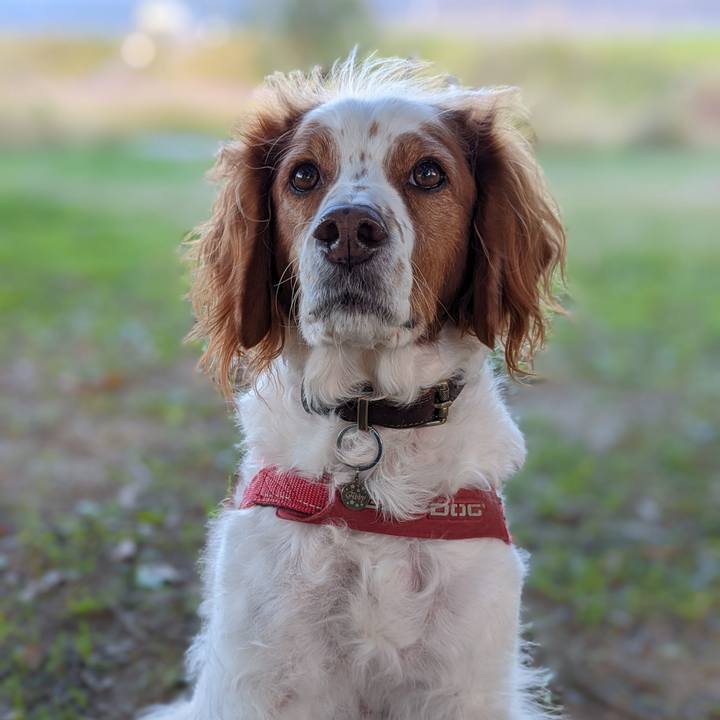 26105fd7 c7e5 4a76 8009 6dff899cc148 1635938035508