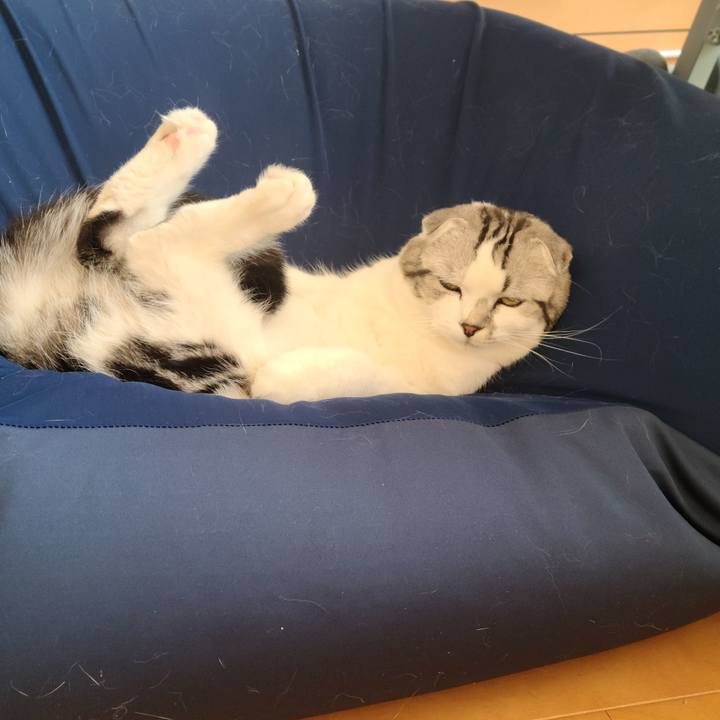 261066c1 ad32 4f5f b97d 4abe40da1c73 1650613334656