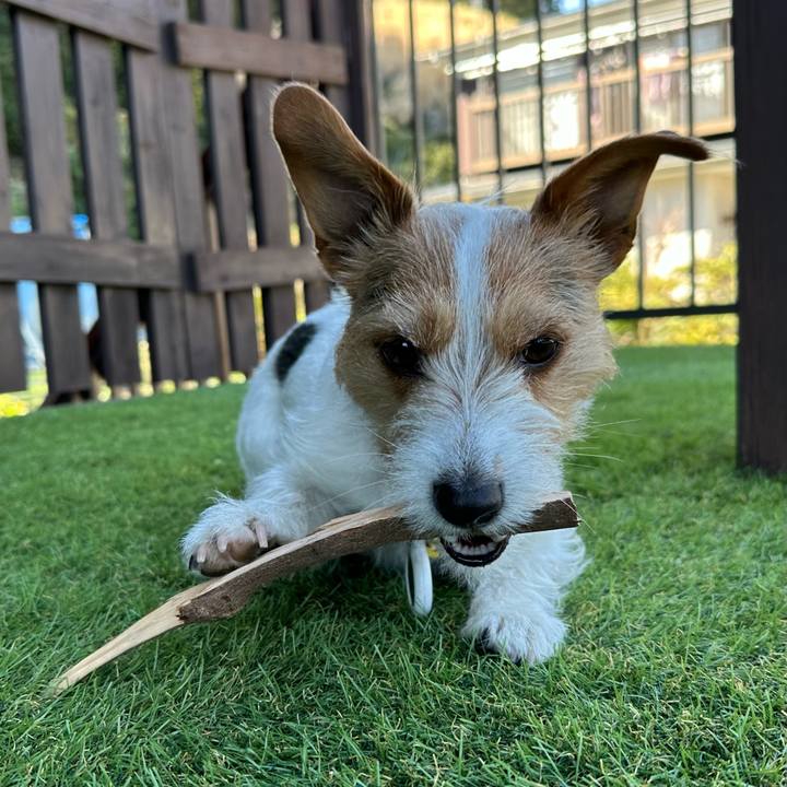 26109055 e95c 48f1 9429 ece78bf5cd4f 1773551882943