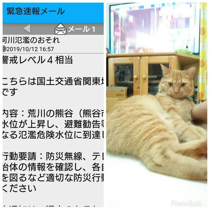 2610aabe 3cff 4ae1 8f20 8c87e34521a7 1570871574976