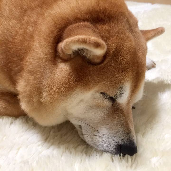 2610cf56 d50d 4240 86a3 67a4a05a1382 1575114177544