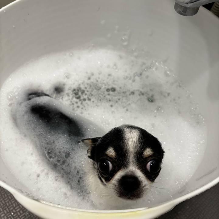 2611408a 8469 4627 b325 e3905efe0f78 1774054489743