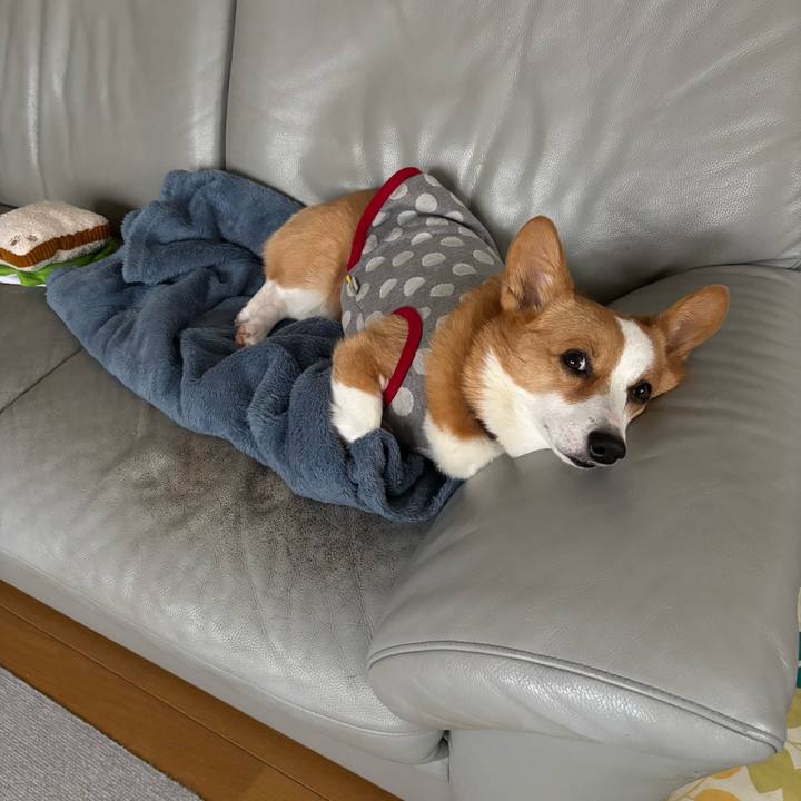 26115bba 9707 4719 a71a 4265a1b3f10d 1764717439682