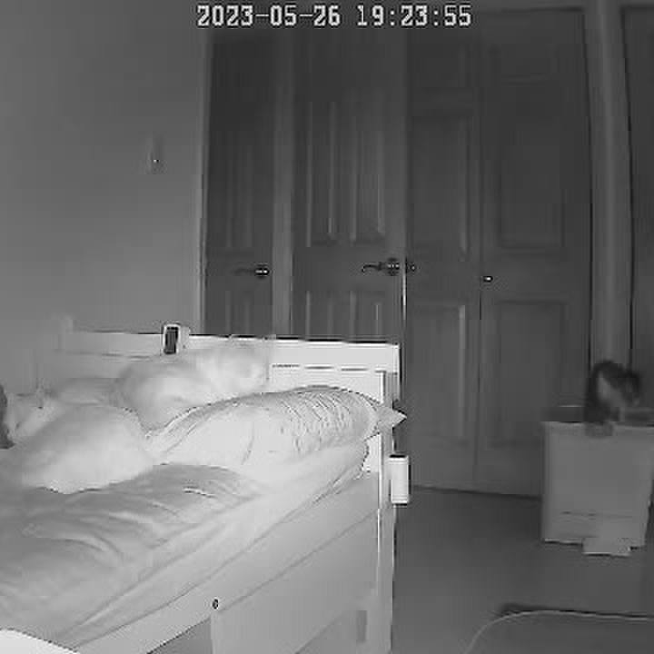 2611a028 c246 41e9 93fe c8150cf001af 1685100441192