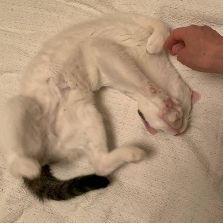 2611cdf2 76c0 4b5e 8a28 de57a8dd341e 1620633693330