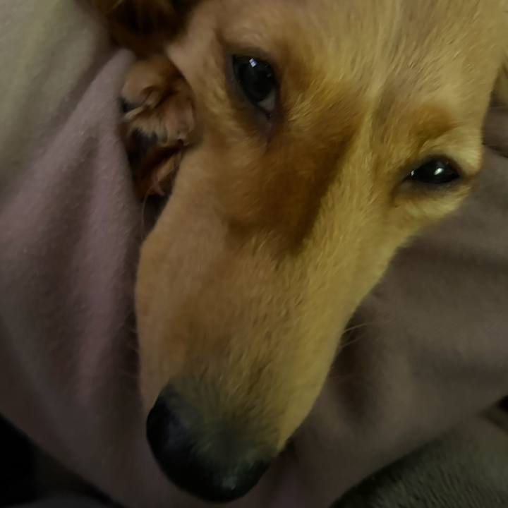 2611da9e 4dc3 443c ac1f 3035af6ac87c 1774007819956