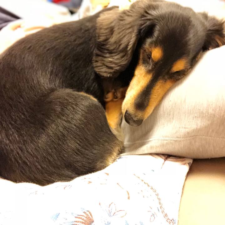 26124747 abf9 490f a0be 212c90d11b1d 1539527644588