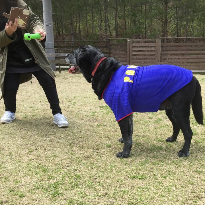 26124ff6 ca5d 47fd bef2 b6097cb89334 1554617977135